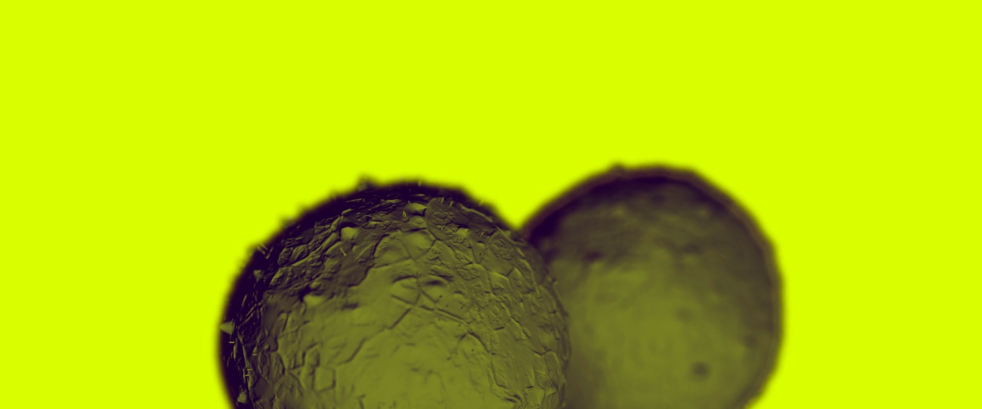 What is the life expectancy after stem cell transplant?
