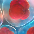 Is stem cell therapy worth the cost?